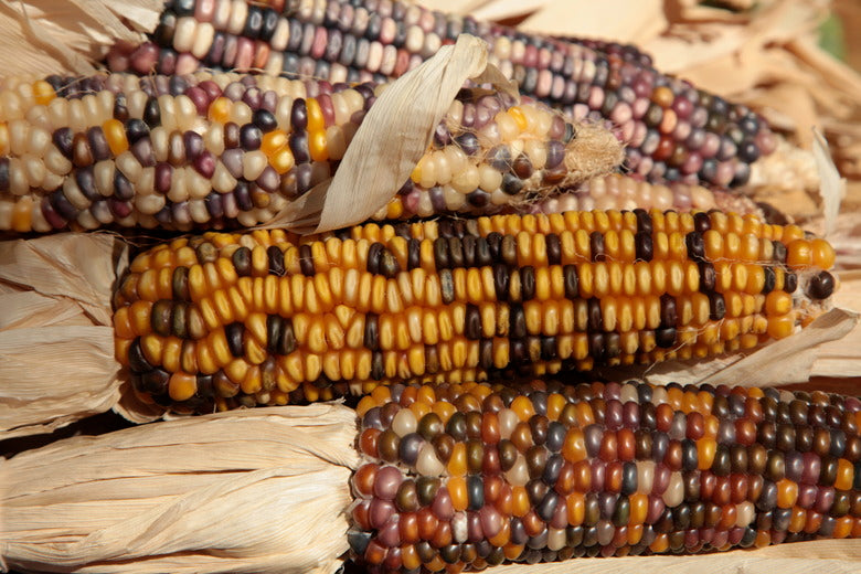 Heirloom corn mix