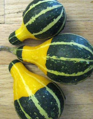 Pear gourd 35 seeds