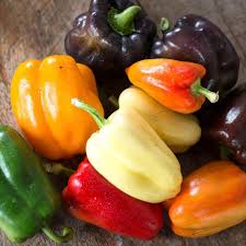 Heirloom bell pepper mix 50 seeda