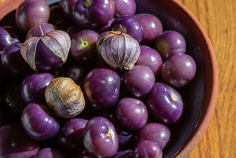 Really purple tomatillo