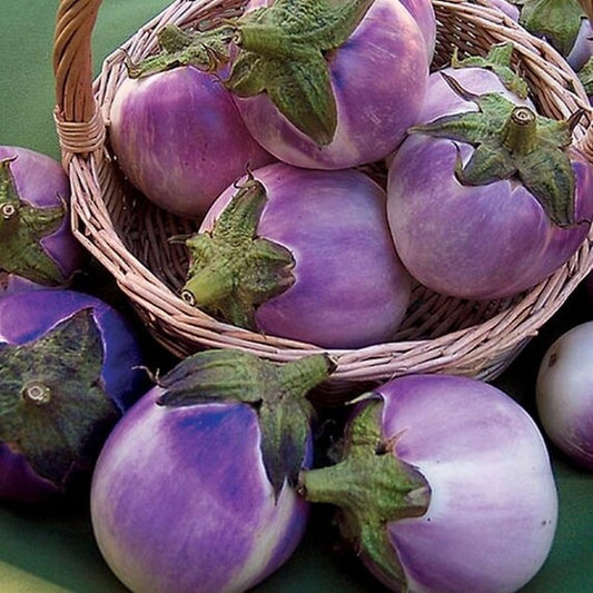 Round mauve eggplant