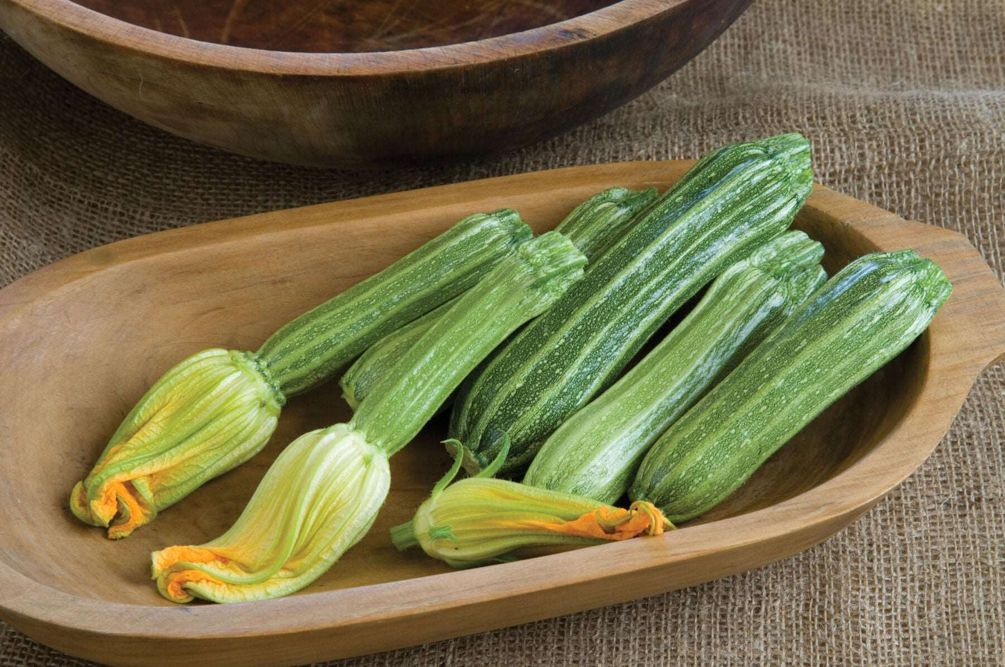 Genovese italian summer squash - beyond organic seeds