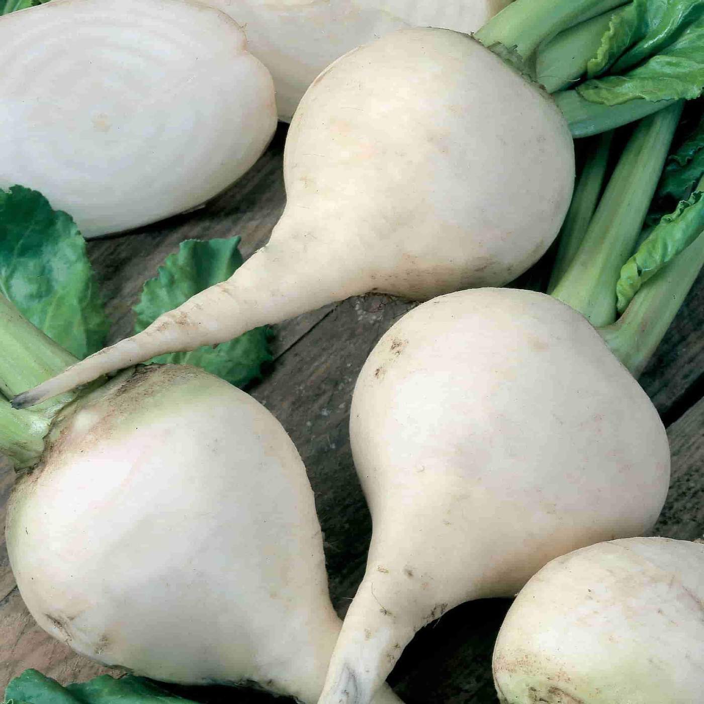 White Albino Heirloom Beets - beyond organic seeds