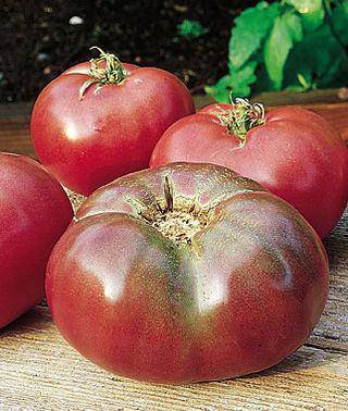 Cherokee Purple Heirloom Tomato - beyond organic seeds