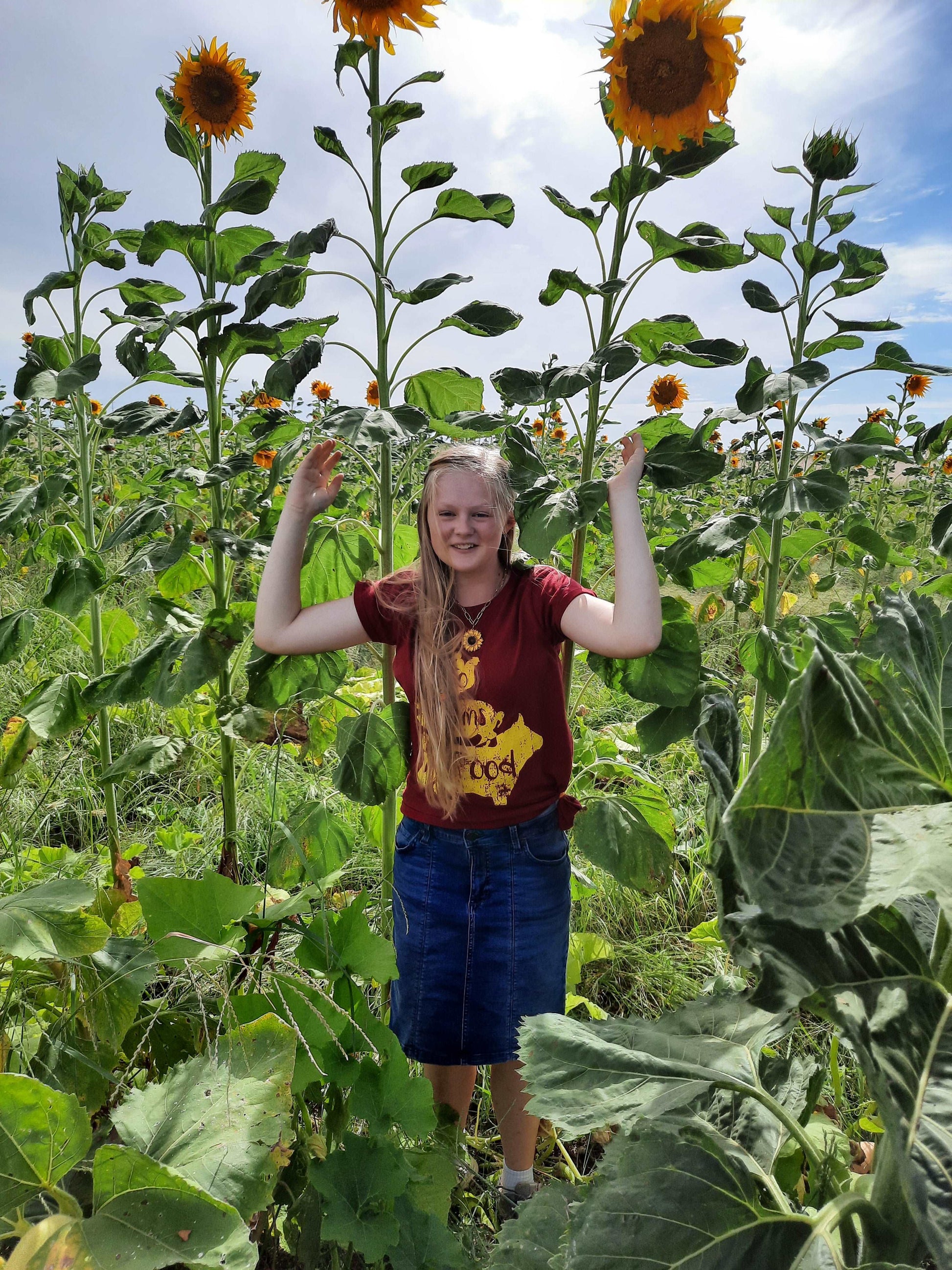 Garden center sunflower.  Mix packs - beyond organic seeds