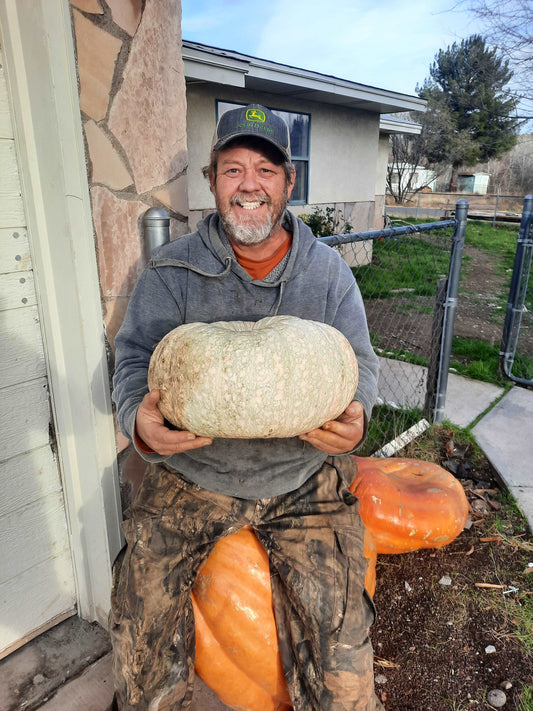 Iran winter squash - beyond organic seeds