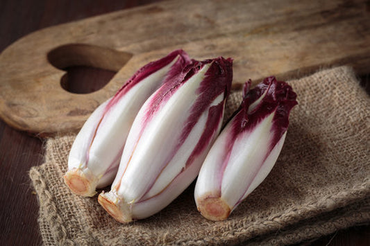 Gourmet endive mix - beyond organic seeds