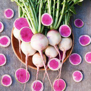 Watermelon Radish Seeds - beyond organic seeds