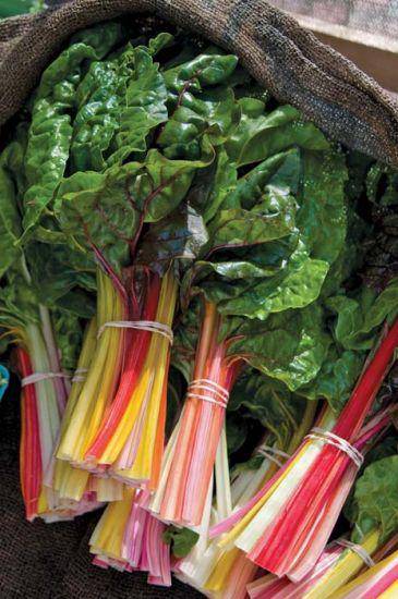 Bright Lights Swiss Chard - beyond organic seeds