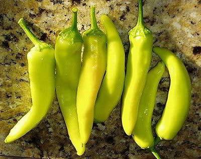 Hungarian Yellow Wax Hot Pepper - beyond organic seeds