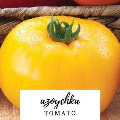 Azoychka Heirloom Tomato - beyond organic seeds