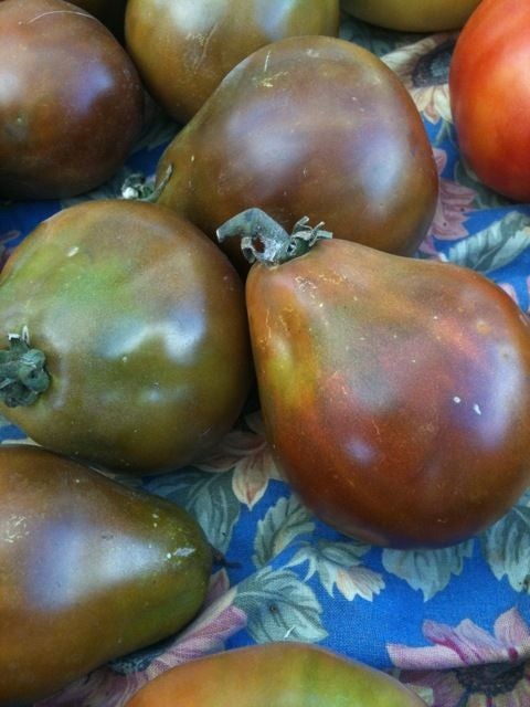 Black Truffle Tomato - beyond organic seeds