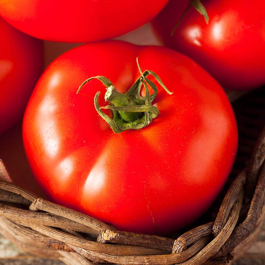 Fireworks Tomato 60 Days - beyond organic seeds