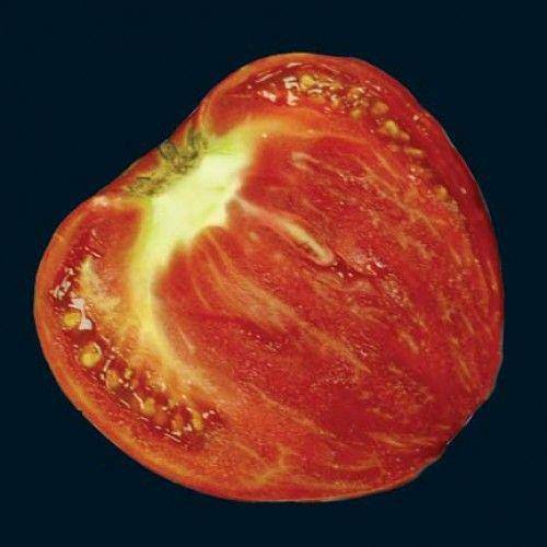 German Strawberry Tomato - beyond organic seeds