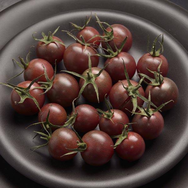 Chocolate Cherry Tomato - beyond organic seeds