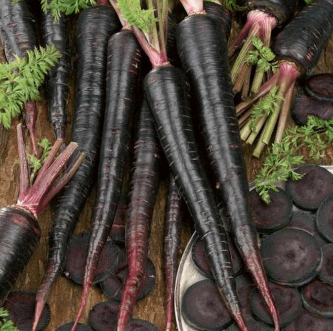 Black Nebula Carrot - beyond organic seeds