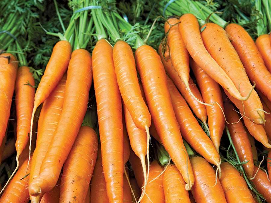 Carrot assortment - beyond organic seeds