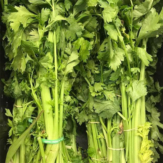 Golden yellow chinese celery - beyond organic seeds