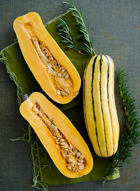 Delicata winter squash - beyond organic seeds