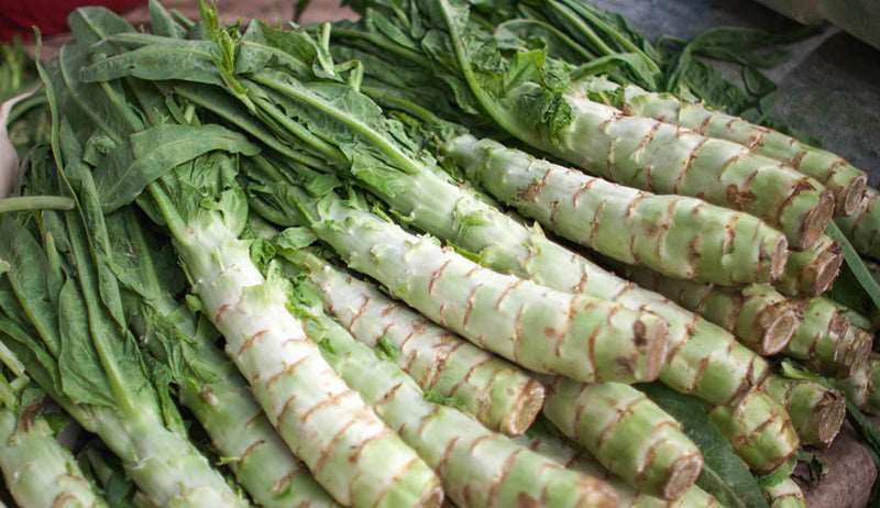 Celtuce - beyond organic seeds