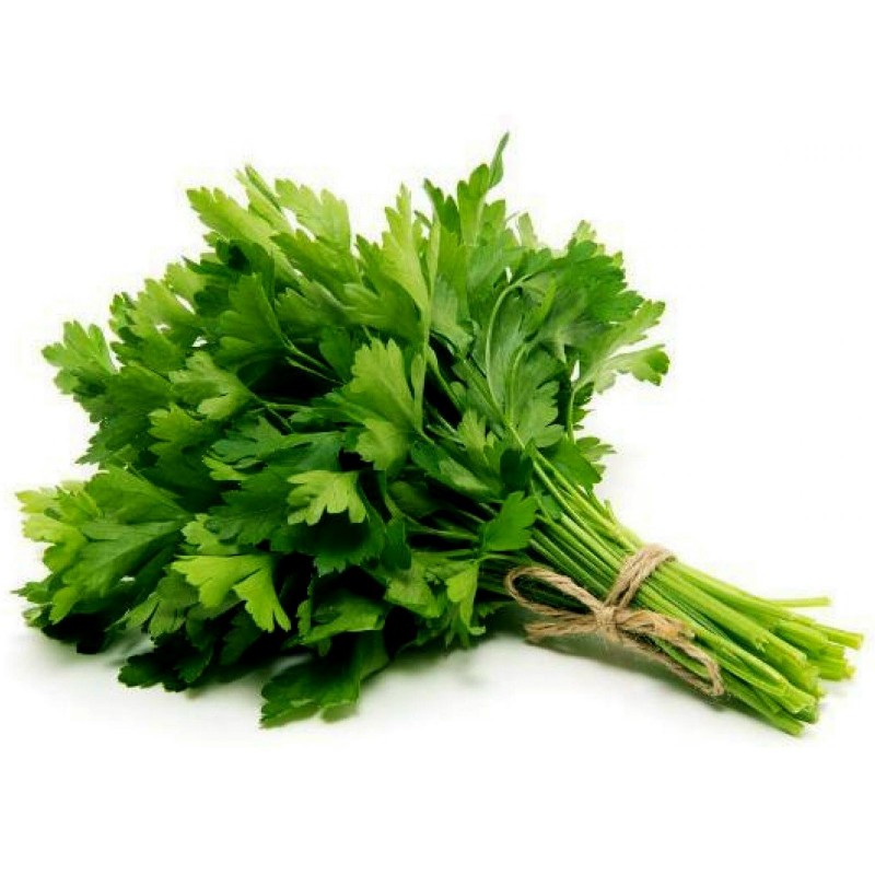 Giant italian parsley - beyond organic seeds