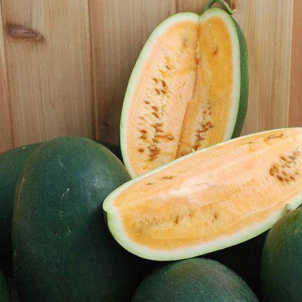 Sweet Siberian Heirloom Watermelon - beyond organic seeds