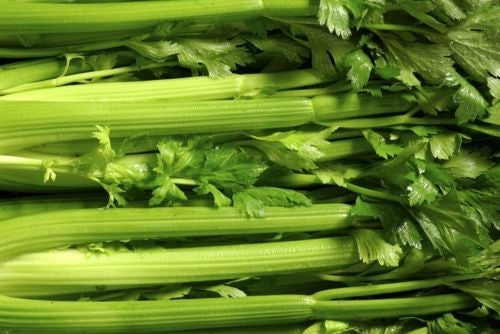 Tendercrisp celery - beyond organic seeds