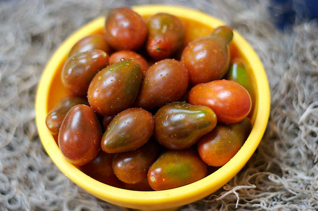 Chocolate pear tomato - beyond organic seeds