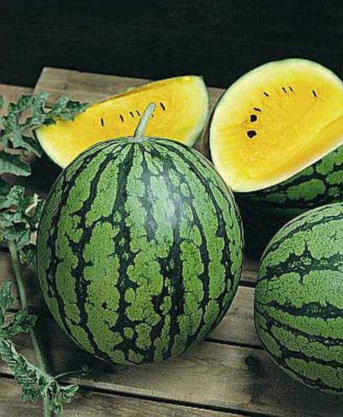 Yellow Crimson Sweet Watermelon - beyond organic seeds