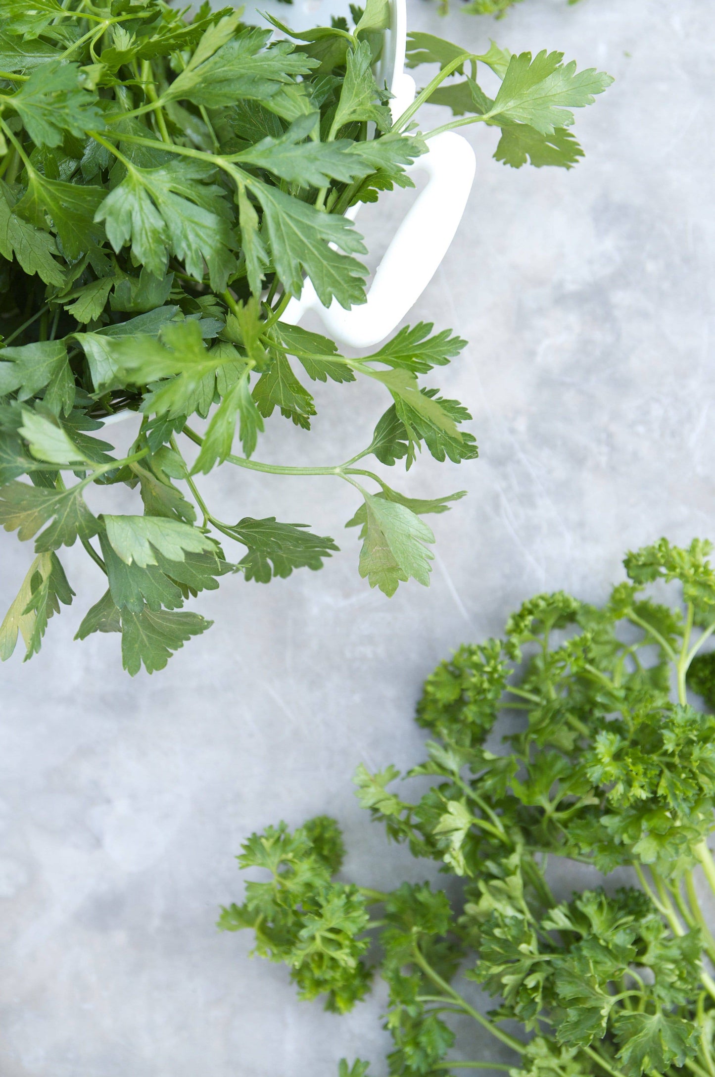 Garden Parsley Mix - beyond organic seeds