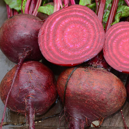 Crosby's egyptian beet - beyond organic seeds