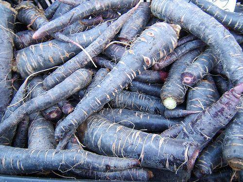 Black Nebula Carrot - beyond organic seeds