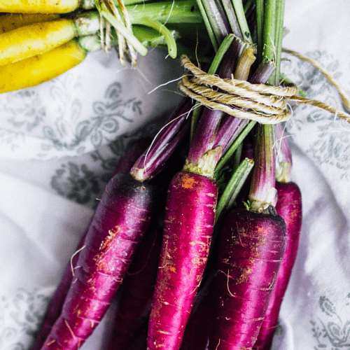 Cosmic Purple Carrot - beyond organic seeds