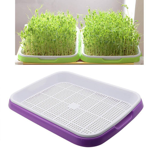 Hydroponics Seedling Tray Double Layer Sprout Plate Hydroponics System To Grow Nursery Pots Tray Vegetable Seedling Pot 3 Sets - beyond organic seeds