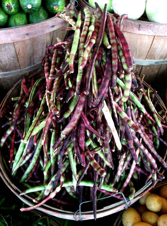 Mississippi Purple Hull Peas - beyond organic seeds