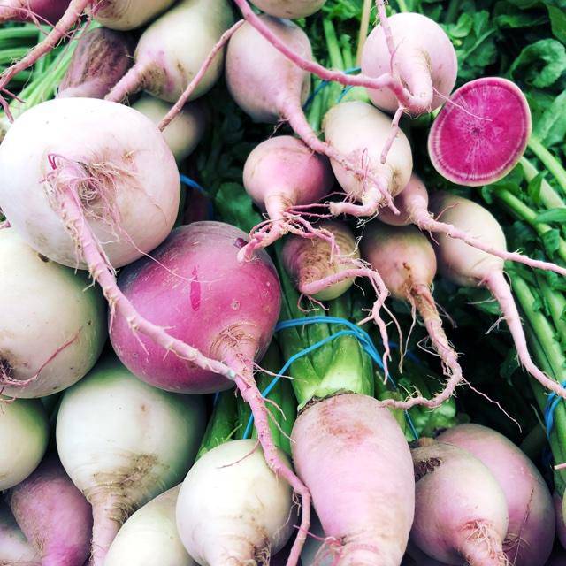 Watermelon Radish Seeds - beyond organic seeds