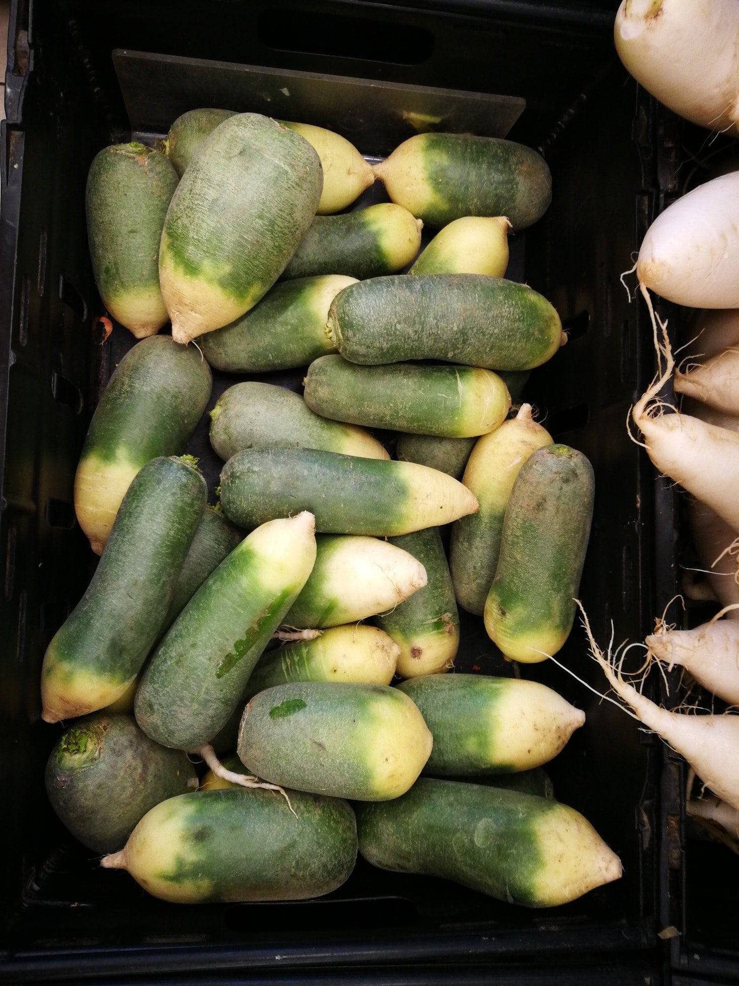 Green Meat Radish - beyond organic seeds