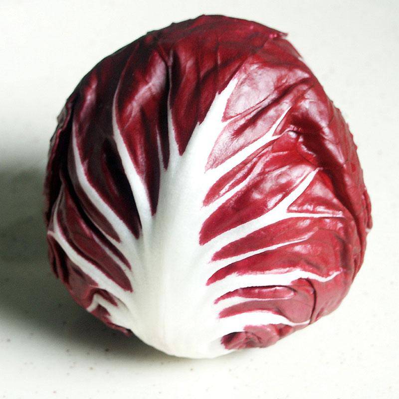 Rouge De Verona Radicchio - beyond organic seeds