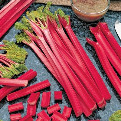 Victoria rhubarb - beyond organic seeds